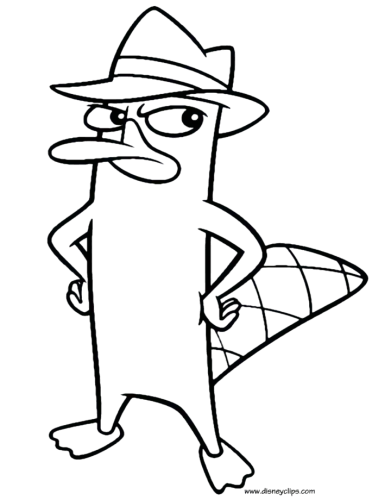 Cartoon temp 23, Cartoon, cartoon, Phineas-and-Ferb, Perry-the-Platypus, easy